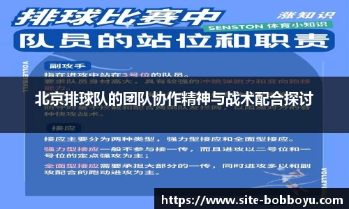 北京排球队的团队协作精神与战术配合探讨